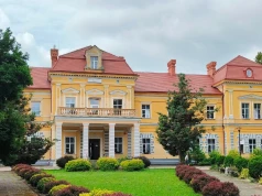 Mogliśmy mieć własny Wersal? Polski dwór skradł serce francuskiego króla