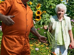 „Jak pan mnie wiezie, to mniej boli”. Więźniowie jako wolontariusze w hospicjach