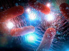 Zmodyfikowany probiotyk skuteczniej chroni przed groźną bakterią
