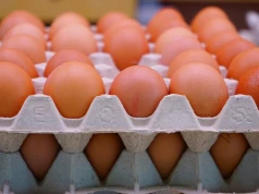 Salmonella w jajach z belgijskiej fermy. Skażone partie mogły trafić do Polski