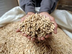 Dramatycznie drogi pellet. Pojawiła się kolejna alternatywa