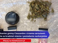 Mieszkaniec gminy Cieszanów z trzema zarzutami. Odpowie za kradzież mienia i posiadanie narkotyków
