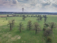 Radni mają dziś głosować nad ostateczną wersją planu ogólnego Wrocławia