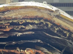 Porzucone rurociągi ważnym źródłem zanieczyszczenia oceanów mikroplastikiem