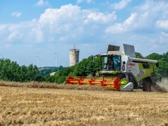 Ceny jęczmienia 2026. Między skupami nawet 20 tys. zł różnicy przy 100 tonach