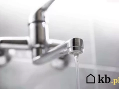 Śmierdzi kanalizacją mimo czystego syfonu? Sprawdź ten element na dachu