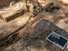 Szczątki ponad 150 osób