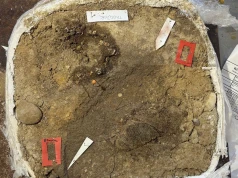 Archeolodzy czegoś takiego jeszcze nie widzieli. W grobie wikińskiej dziewczynki przetrwała niezwykła zawartość