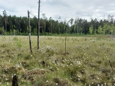 Kolejne torfowiska, lasy i jeziora pod ochroną. Warmia i Mazury zyskały 16 nowych rezerwatów