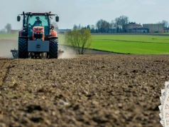 We wrześniu ruszają kolejne nabory ARiMR. Od 100 tys. zł do 10 mln zł wsparcia