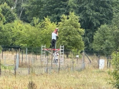 Postawili słupy, po dwóch godzinach robotnicy z pomocą urzędników je rozebrali. Dziwna inwestycja gminy Boleszkowice