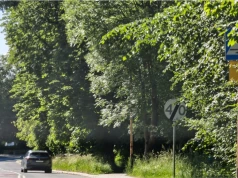 Piszą mieszkańcy, alarmują aktywiści, interweniują radni. Za zarastające przejścia wzięła się policja