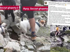 Przewodnik tatrzański przypomina, że branie psów w góry to szczyt głupoty