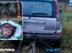 Wpadł na kradzieży kabli i próbował się wykupić. Zaoferował policjantom 4 tysiące, żeby go puścili