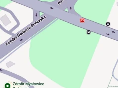 Park linowy powstanie na Katowickiej? Miasto chce wydzierżawić duży teren na 30 lat. Fot. Google Maps