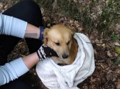 Wywiózł psa w worku do lasu. Zaskoczyła go policja
