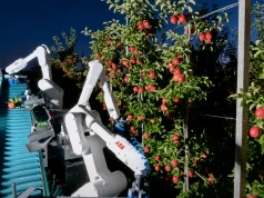Robot zamiast pracownika w sadzie? Jeden wpis wywołał lawinę komentarzy
