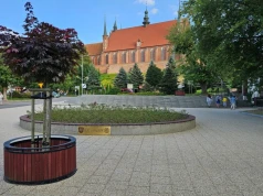 Ukryte perełki Warmii i Mazur. Naukowcy wskazali najpiękniejsze miejsca w regionie
