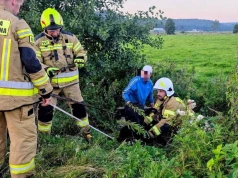 Byk wpadł do rowu i nie mógł się wydostać. Rolnik wezwał strażaków