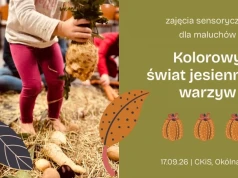 Jesienne warzywa na zajęciach sensorycznych