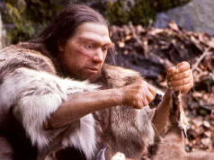 Szkielety neandertalczyków podważają znane przekonanie o ewolucji