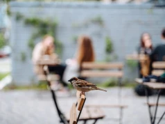 Burzowa sobota, pogodna niedziela. Tak zapowiada się weekend w Łódzkiem