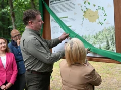 Duża zmiana w lasach wokół miast. Trwają prace nad nowym modelem ochrony