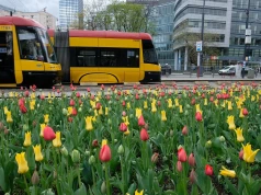 To najdłuższa linia tramwajowa w Polsce. Ma aż 49 przystanków