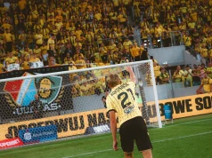 GKS Katowice pomaga zwierzętom. Ruszyła zbiórka dla katowickiego schroniska