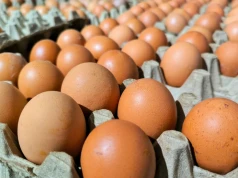 Dużych jaj brakuje w sklepach. Czy ceny wzrosną? Raport z rynku