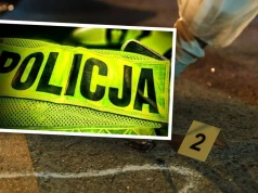 Makabryczne odkrycie przy osiedlu Żabieniec. Ciało kobiety w lesie w Kędzierzynie-Koźlu