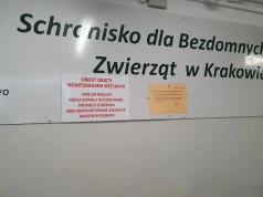Konflikt w krakowskim schronisku. KTOZ: działania wolontariuszy zagrażały zwierzętom