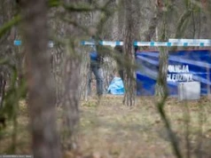 Media: Pocięte zwłoki w kompleksie leśnym. Jest komunikat policji