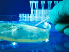 Nanocząsteczki cofnęły objawy choroby Alzheimera. Przełomowa terapia z USA