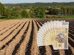 Ceny ziemi rolnej klasy IIIb i IV. Sprawdź, ile kosztuje hektar w Twoim województwie