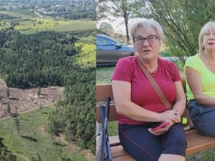 Las znika na oczach mieszkańców. Kolejna wycinka drzew w Jaworznie