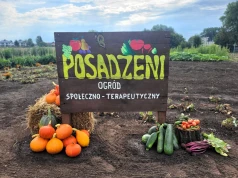 Osadzeni wyszli poza mury aresztu. W Krakowie powstał ogród „Posadzeni”