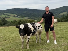 Belgian Blue w polskim wydaniu – małe gospodarstwo, wielka specjalizacja