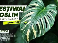 Wielkie święto zieleni w Olsztynie. Festiwal Roślin zawita na Kortowo
