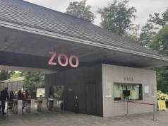 Nowi mieszkańcy krakowskiego ZOO. Maksito i Zorza już zachwycają