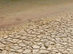 Rekord temperatur oceanów. El Niño i zmiana klimatu