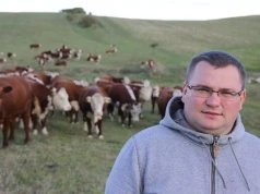 Rolnik dostał zgodę na płoszenie. „Wilk ma poczekać 30 minut?”