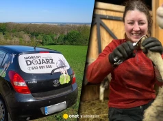 "Siedziałam w biurze i myślałam: co ja tutaj robię?". Dziś Ola doi cudze krowy i dobrze na tym zarabia