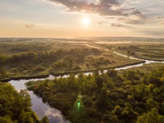 Park, który miał zablokować port. Jak padł argument, który przesądził o prezydenckim wecie