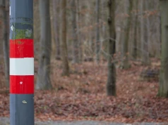 Zignorujesz ten symbol na latarni i zapłacisz mandat. Kierowcy popełniają ten błąd za granicą