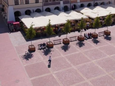 Nietypowy pomysł w polskim mieście. Na rynku pojawiły się przenośne drzewa