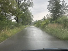 Zarosły nawet znaki