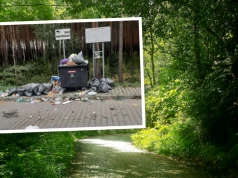 Fotopułapki przegrały ze światłami aut. Nowe kamery wyłapią śmieciarzy na DW 426