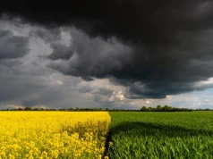 Sytuacja finansowa rolników nadal pod presją. Długi najniższe od 5 lat