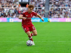 Liverpool szuka następcy Gakpo. Na celowniku gwiazdor Premier League